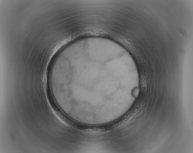 X0000113110630200909251053