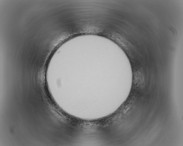 X0000113110632200909251053