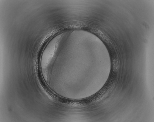 X0000113110634200909251053