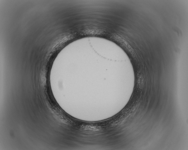 X0000113110635200909251053