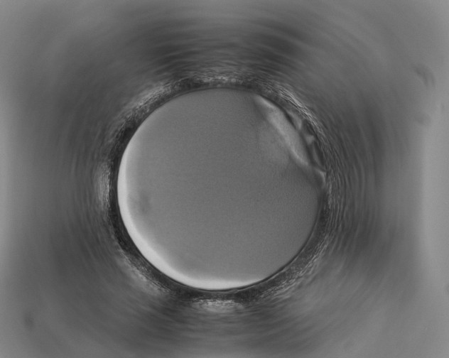 X0000113110637200909251053