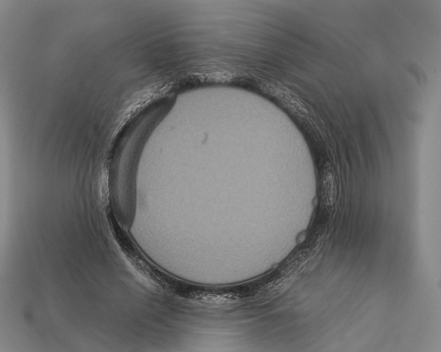 X0000113110638200909251053