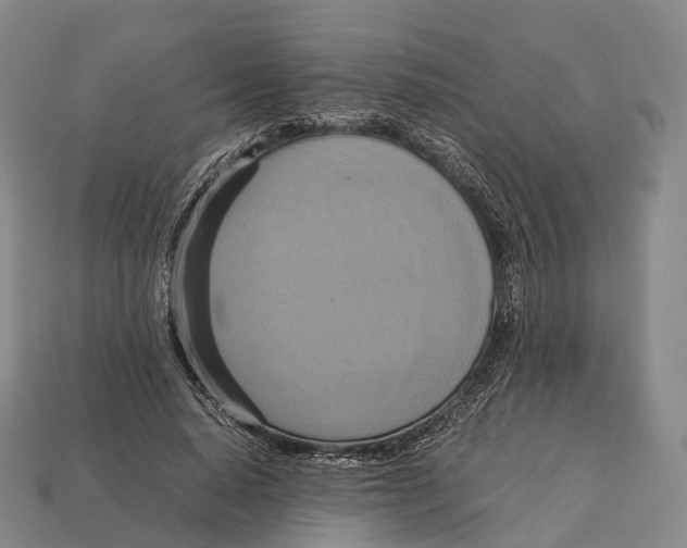 X0000113110640200909251053