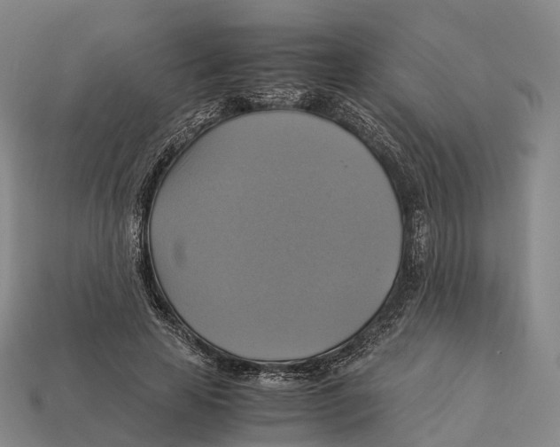 X0000113110641200909251053