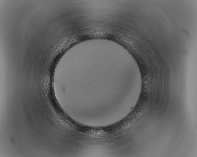 X0000113110642200909251053