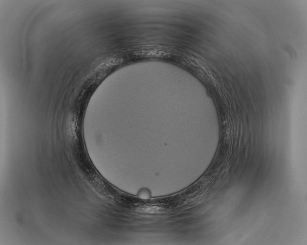 X0000113110643200909251053