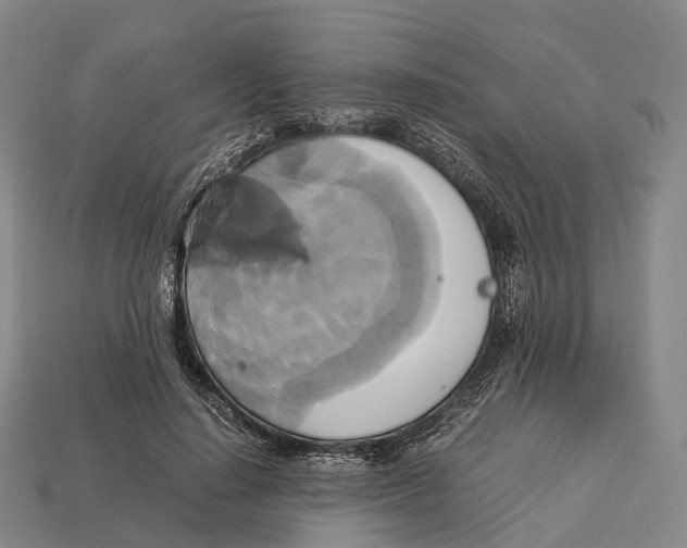 X0000113110644200909251053