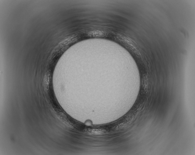 X0000113110645200909251053
