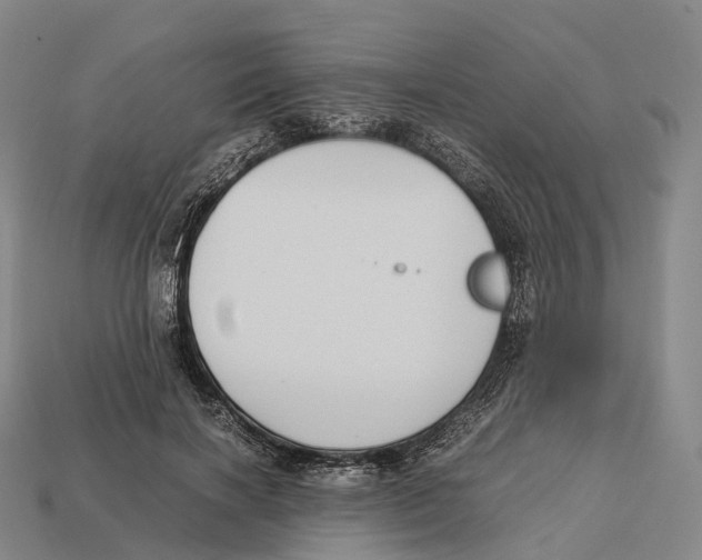 X0000113110646200909251053