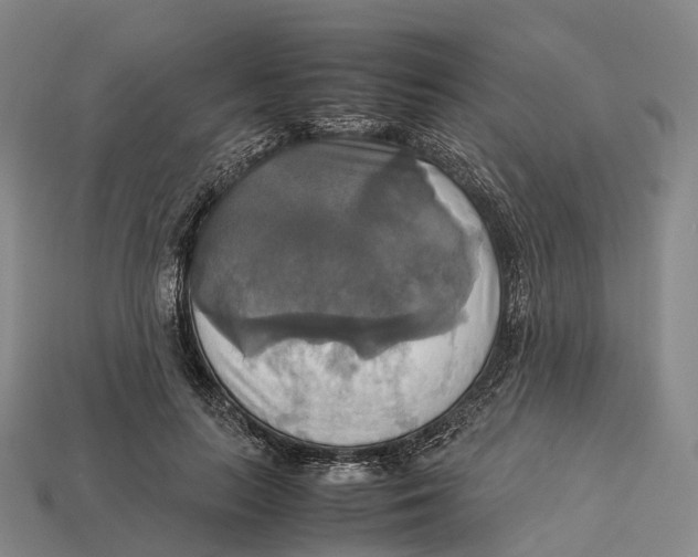 X0000113110647200909251053