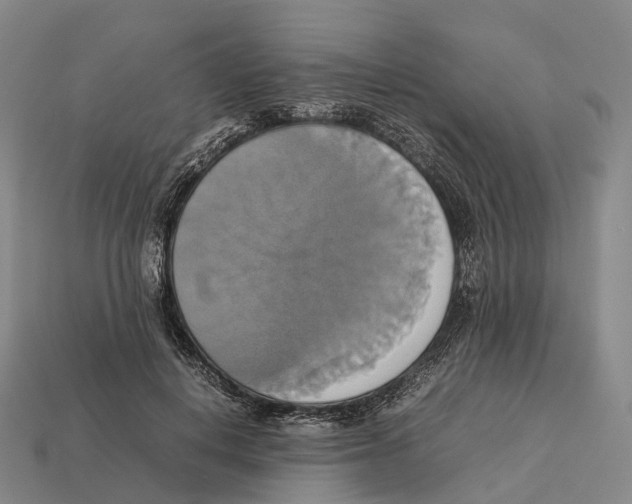 X0000113110648200909251053