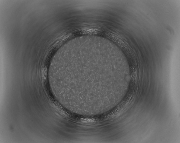 X0000113110649200909251053