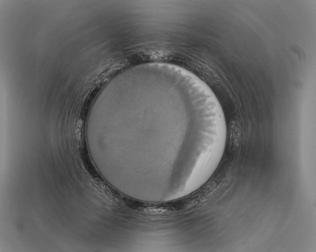 X0000113110650200909251053