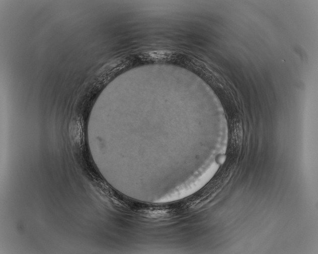 X0000113110651200909251053