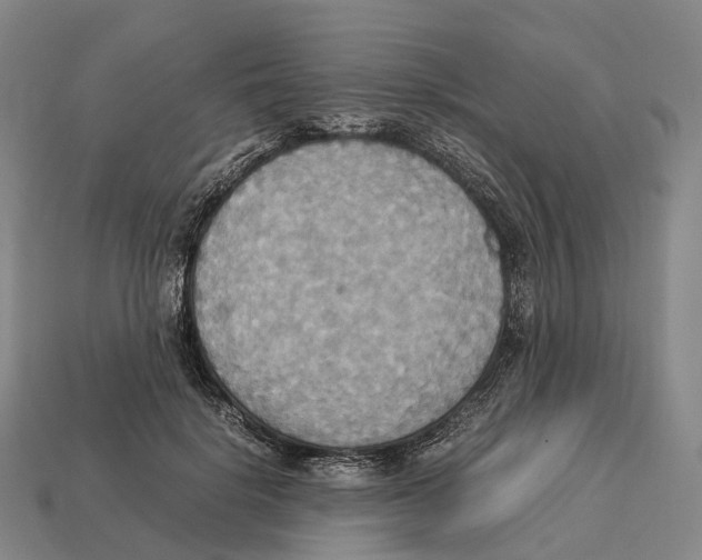 X0000113110652200909251053