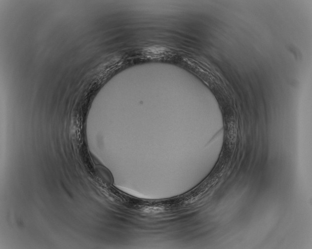 X0000113110653200909251053