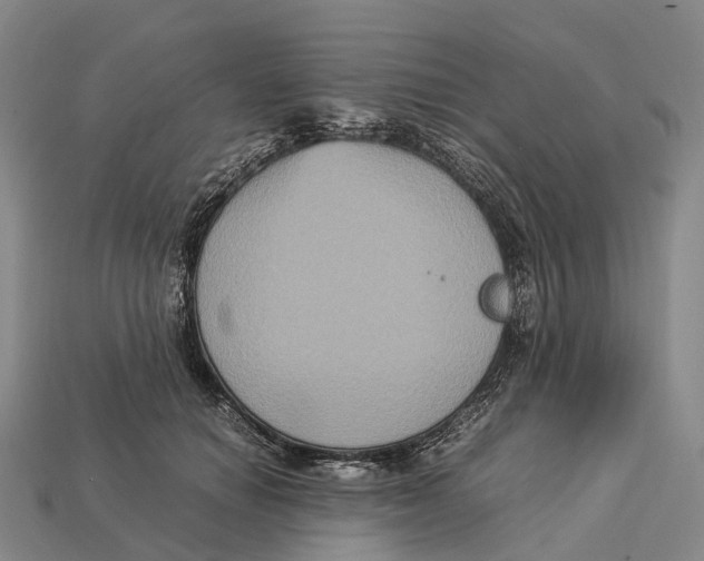 X0000113110654200909251053
