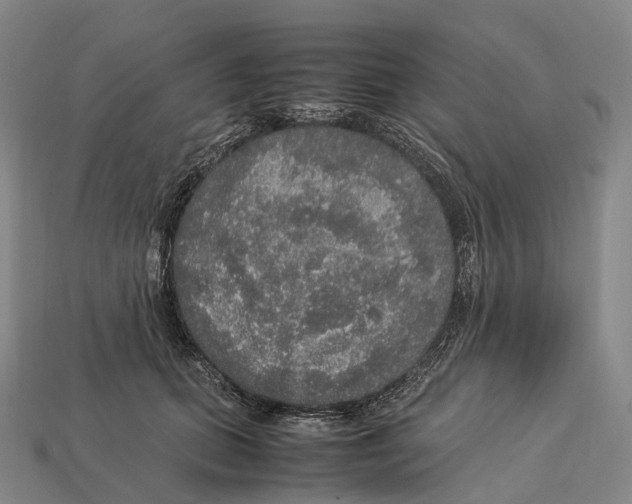 X0000113110655200909251053