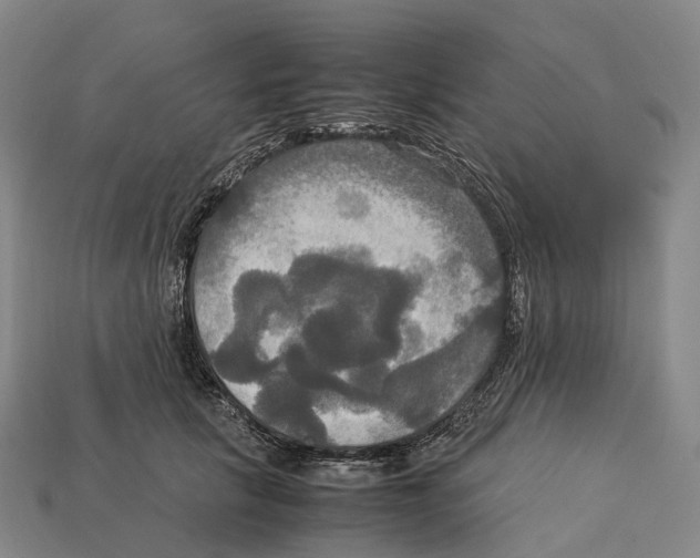 X0000113110657200909251053