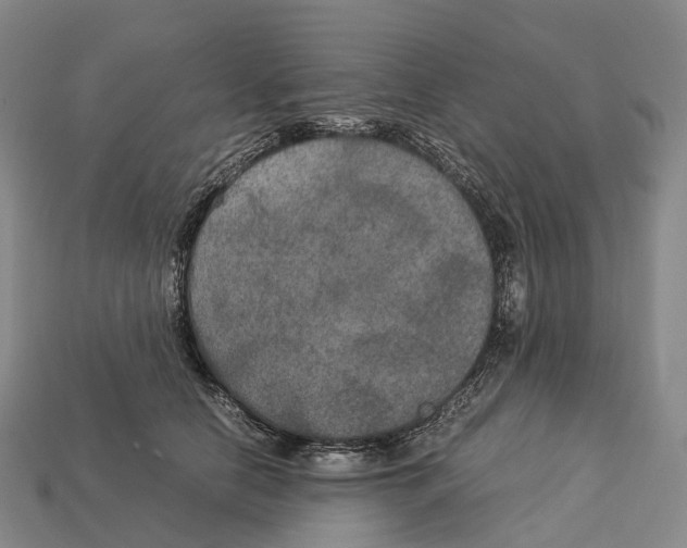 X0000113110658200909251053