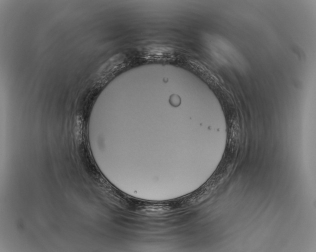 X0000113110659200909251053