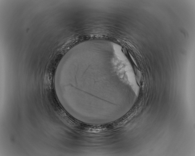 X0000113110661200909251053