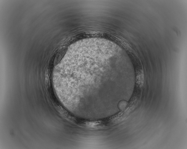 X0000113110662200909251053