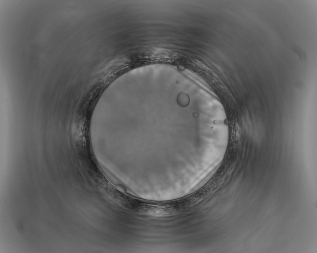 X0000113110663200909251053