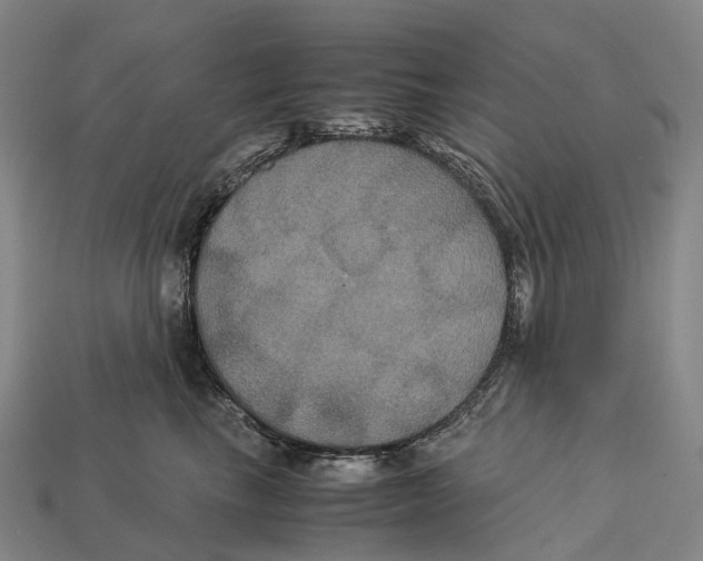 X0000113110665200909251053