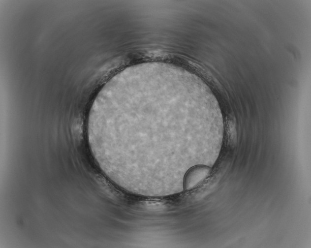 X0000113110668200909251053