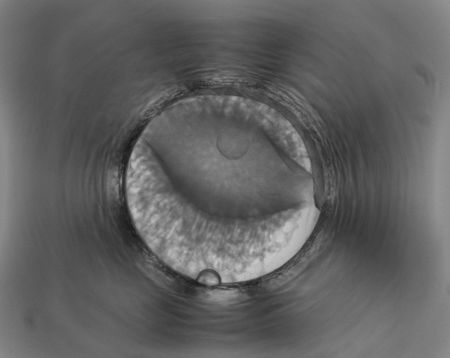 X0000113110669200909251053