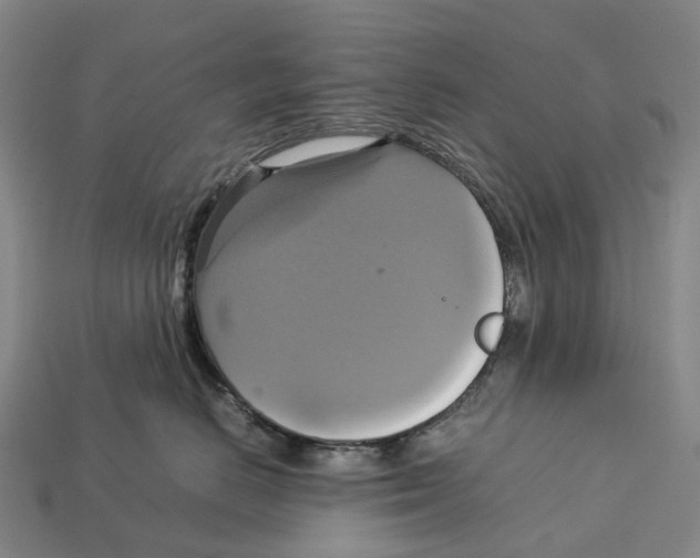 X0000113110670200909251053