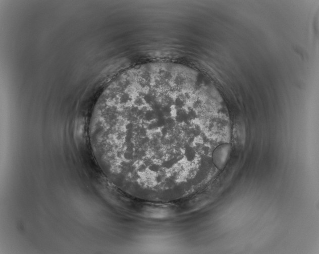 X0000113110671200909251053