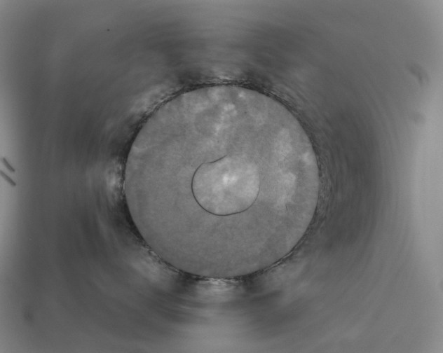 X0000113110672200909251053