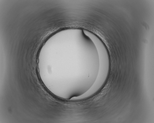 X0000113110673200909251053