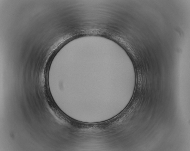 X0000113110674200909251053