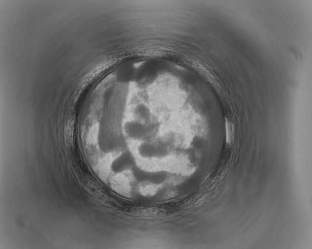 X0000113110675200909251053