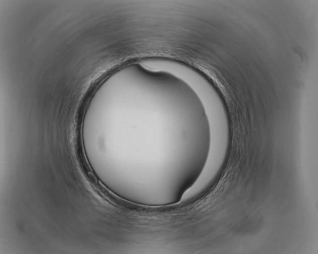 X0000113110677200909251053