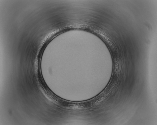 X0000113110678200909251053