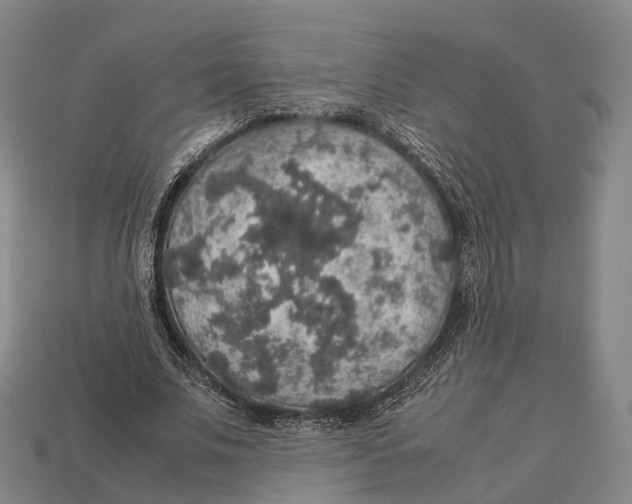 X0000113110679200909251053