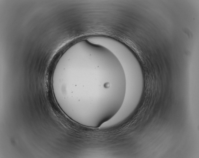 X0000113110680200909251053