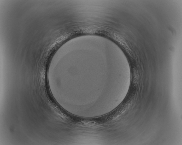 X0000113110681200909251053