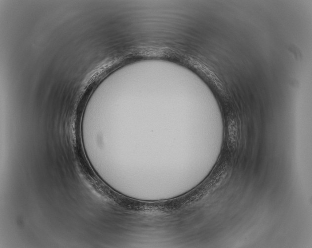 X0000113110682200909251053