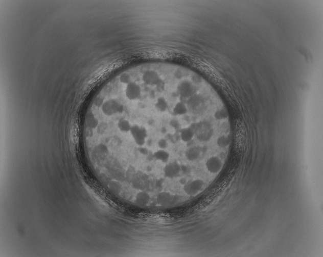 X0000113110683200909251053