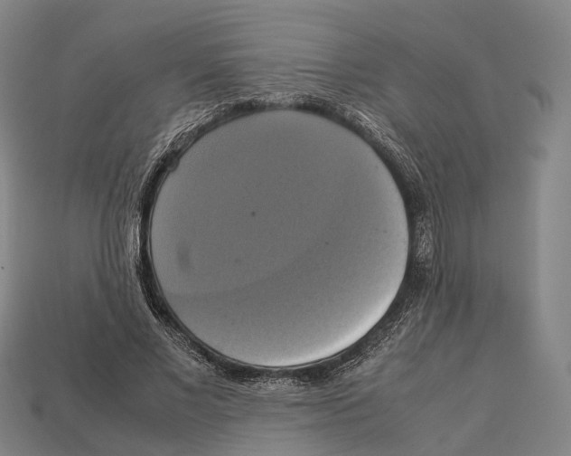 X0000113110685200909251053