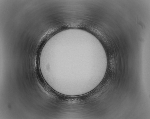 X0000113110686200909251053