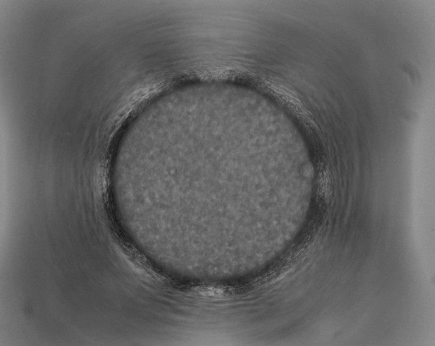 X0000113110687200909251053