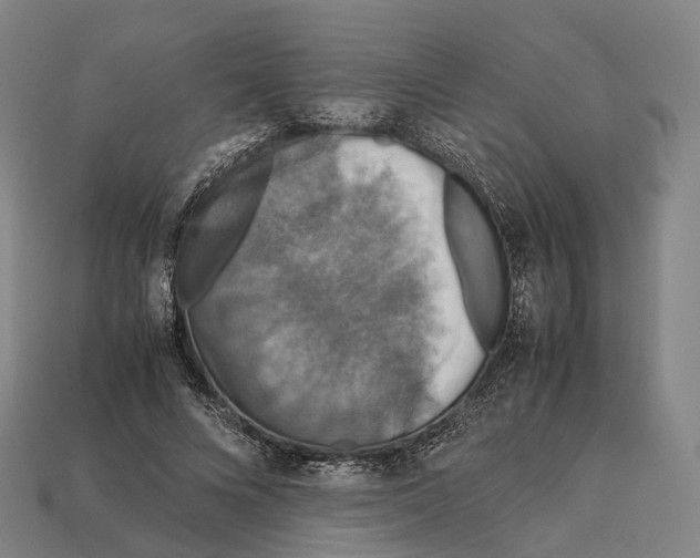X0000113110688200909251053