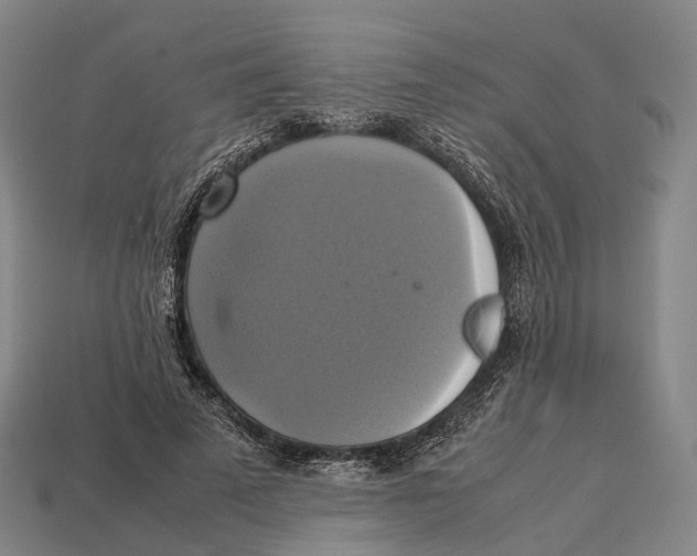 X0000113110689200909251053
