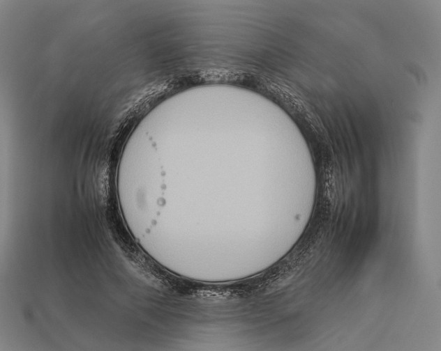 X0000113110690200909251053